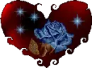 blue rose