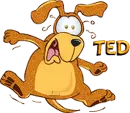 Ted