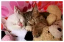 Friendship