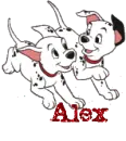 alex dalmations