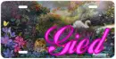 gied