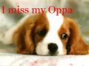 miss you