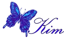 Kim-blue butterfly