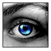 eye