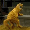 Everybody dance now! 