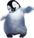 Dancin' feet