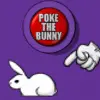 Please don't poke the bunny !