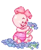 Piggy