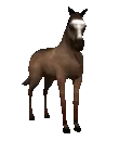 bgghg