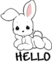 bunny