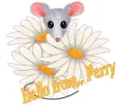 Perry 