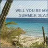 summer