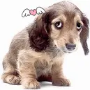 i'm so cute