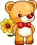 baby bear