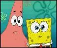 Spongii
