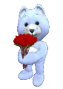cute teddy