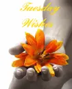 flower , days of week