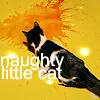 naughty little cat