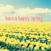 have a happy spring yellow flower