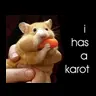 Hungry hamster