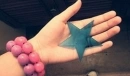 catch a star