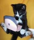 kat13