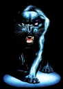 kat17