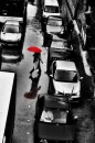 umbrella