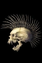 PUNK SKULL