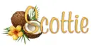 coconuts scottie