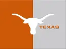 longhorns
