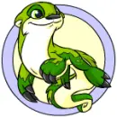 Neopet