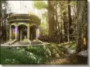 Magical Forest