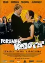 Poranek Kojota