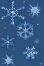 Icey Snowflakes