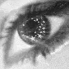 starry eye