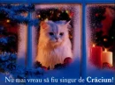 craciun