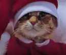 Santa Claws