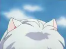 inuyasha 