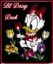 LIL DAISY