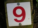 nine