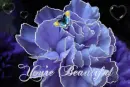 blue flower