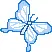 Blue Butterfly