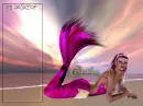Siren at Sunset
