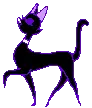 Blackcat Torie Icon!