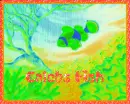 fish swimming around