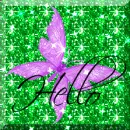 Butterfly hello