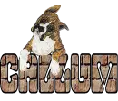 CALLUM-boxermoowall