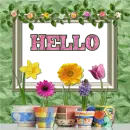 hello