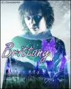 Ville Valo - Brittany